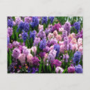 Pesquisar por colored cartoes postais Para todos