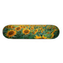 Pesquisar por girassol com skates Colheita