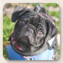 Pesquisar por filhote de cachorro do pug porta copos Cão