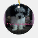 Pesquisar por cão maltês ornamentos Maltipoo