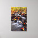 Pesquisar por verde preto impressão de canvas Folha