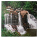 Pesquisar por ocidental azulejos Floresta