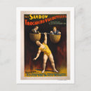 Pesquisar por vaudeville pôsteres pósteres Sandow