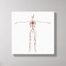 Pesquisar por artérias impressão de canvas Artéria femoral