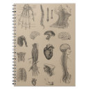 Pesquisar por coração anatomia cadernos de notas Vintage