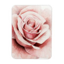 Pesquisar por quartzo imas Rosa