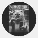 Pesquisar por selfie adesivos Vamos brandon