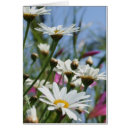 Pesquisar por margarida no céu cartoes Natureza