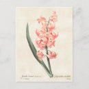 Pesquisar por hyacinthe cartoes postais Qualquer pessoa