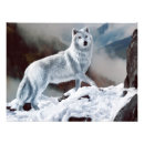 Pesquisar por fotos do lobo artes pósteres Cão
