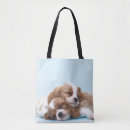 Pesquisar por do rei bolsas Cão