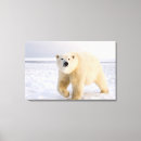 Pesquisar por polar impressão de canvas Alaska