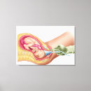Pesquisar por feto pôsteres pósteres Saco amniotic