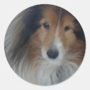 Pesquisar por shetland sheepdog adesivos Animal