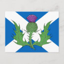 Pesquisar por scottish cartoes postais Thistle