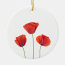 Pesquisar por papoila ornamentos Natureza