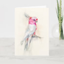 Pesquisar por cockatoo cartoes Tropical