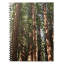 Pesquisar por wood cadernos de notas Floresta