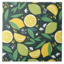 Pesquisar por da fruta azulejos Citros