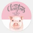 Pesquisar por porco adesivos Qualquer pessoa