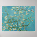 Pesquisar por flores van gogh pôsteres pósteres Amêndoa