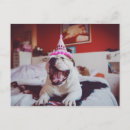 Pesquisar por toupeira cartoes postais Engraçado