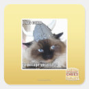 Pesquisar por eu vim adesivos Eu posso ter cheezburger