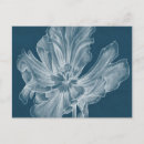 Pesquisar por tulipas cartoes postais Gráfico