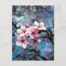 Pesquisar por flores de cerejeira cartoes postais Para ela