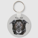 Pesquisar por labrador retriever chaveiros Fofo