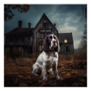 Pesquisar por springer spaniel pôsteres pósteres Para todos