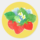 Pesquisar por flores frutas adesivos Qualquer pessoa
