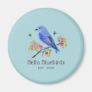 Pesquisar por bluebird Flores