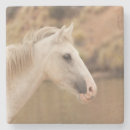 Pesquisar por cavalo branco porta copos Natureza