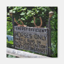 Pesquisar por placa imas Verde