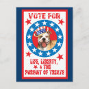 Pesquisar por pitbull branco cartoes postais Cão