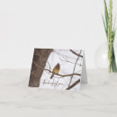 Pesquisar por cardeal fêmea cartoes Natureza