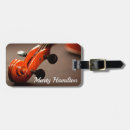 Pesquisar por violoncelista Violinista