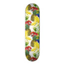 Pesquisar por papagaios skates Macaw