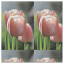 Pesquisar por tulipas tecidos Jardim