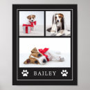 Pesquisar por paws pôsteres pósteres Para pets