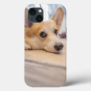 Pesquisar por pembroke iphone capas Dog