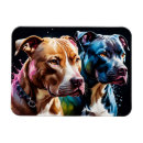 Pesquisar por bull terrier casa imas Pitbull