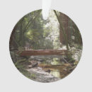 Pesquisar por avermelhado ornamentos Natureza