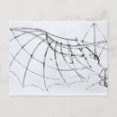 Pesquisar por desenho de da vinci cartoes postais 15