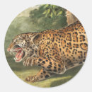 Pesquisar por jaguar adesivos Mamífero
