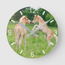 Pesquisar por pônei relogios de parede Engraçado