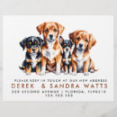 Pesquisar por anúncio flyers Novo endereço