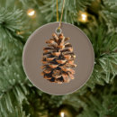 Pesquisar por pine cone ornamentos Qualquer pessoa