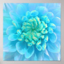 Pesquisar por poster azul da flor pôsteres pósteres Floral